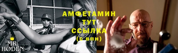 индика Саяногорск